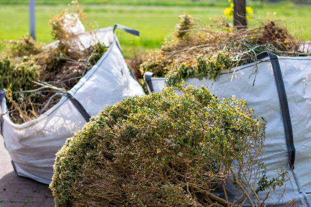 Best Commercial Junk Removal  in West Hill, OH